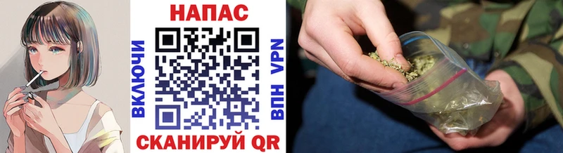 Шишки марихуана Amnesia  купить   Цивильск 